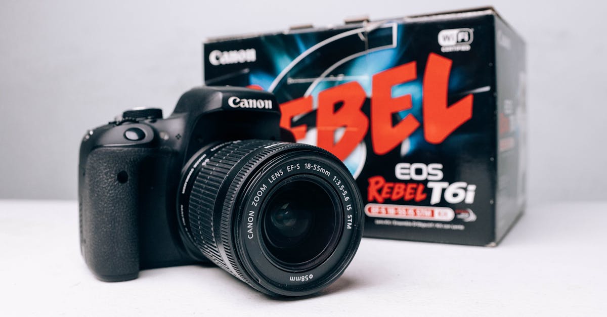 聚星娱乐，注册|营销策略：定价策略VS 促销策略