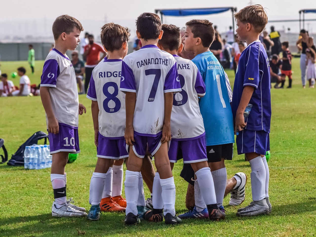 重装战姬辅助- 高淳区企业注册代理