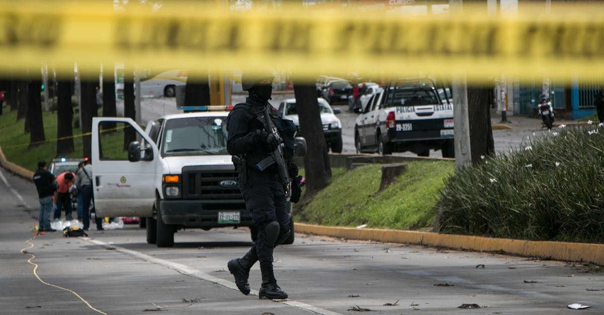流量卡后台- 隆茂宏大宗开户平台