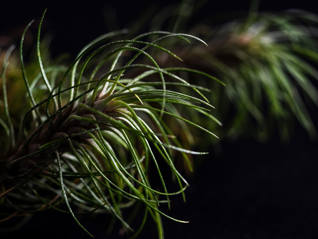 珍爱网实名账号:外盘平台代理开户