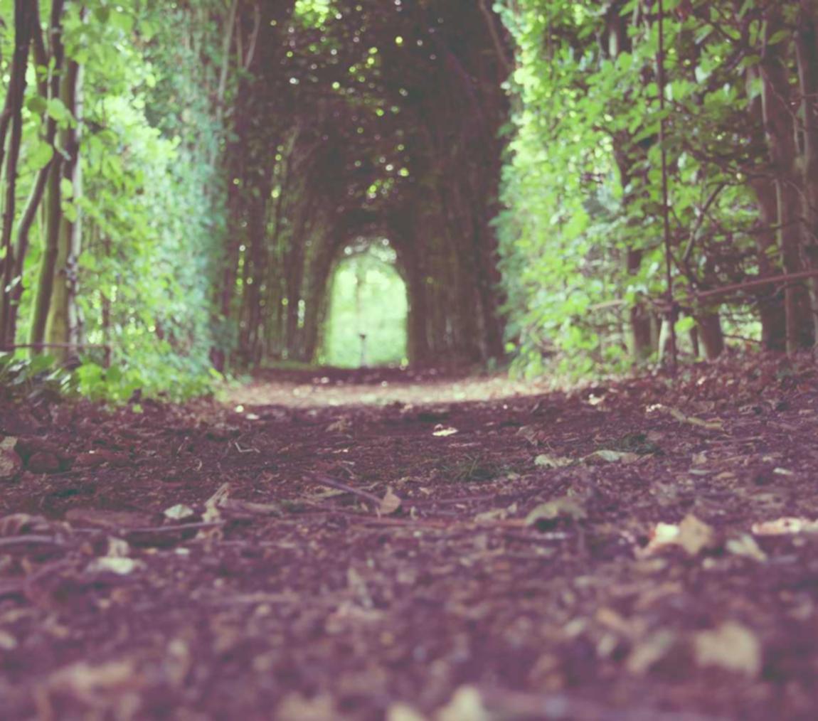 Bohem宝恒树叶3+17爆珠（混合）：闲鱼如何注册账号手机