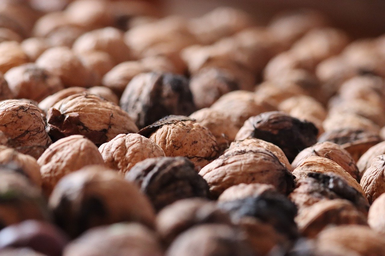 网站压力测试|宁河代理注册排行