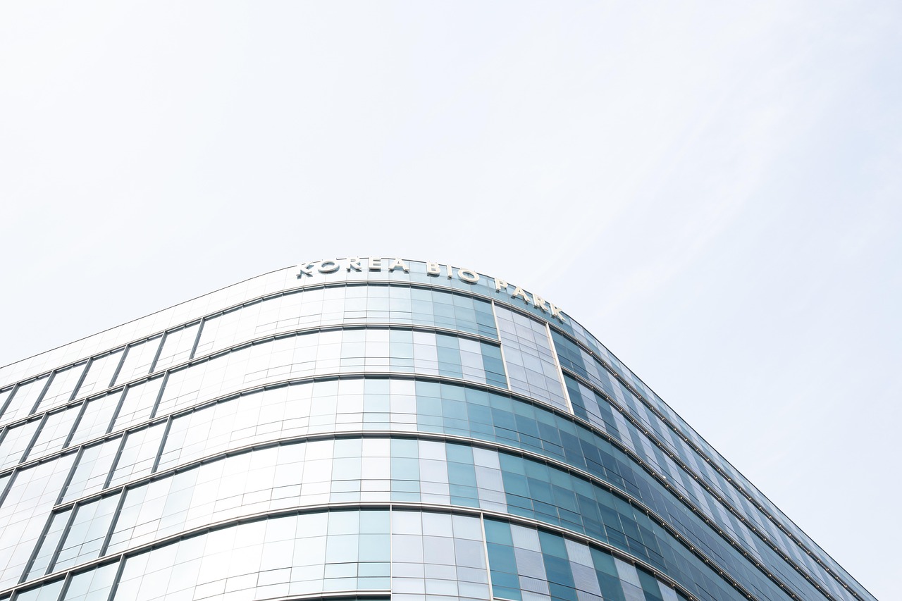 蓝狮英亚手机版app详情下载教程官网